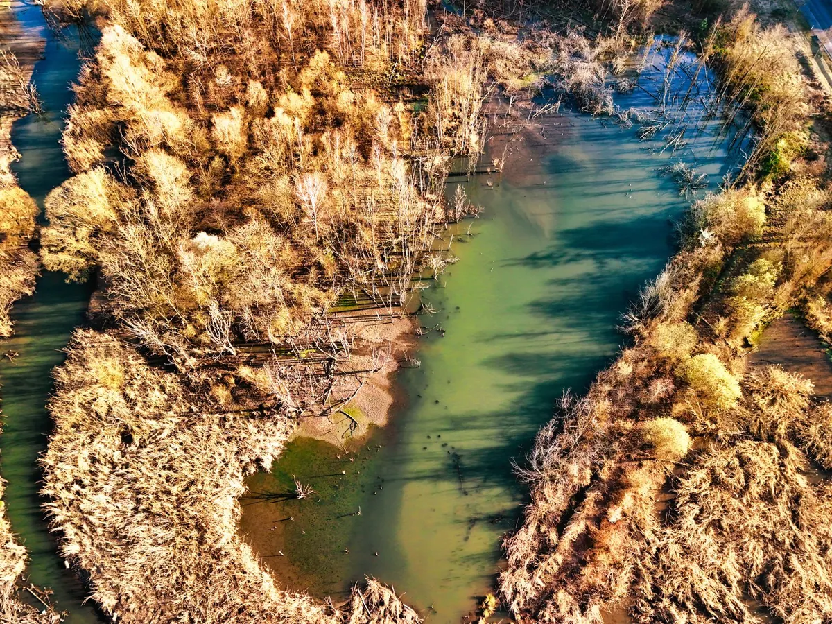 Five Common Mistakes in Wetland Restoration Projects and How to Avoid Them