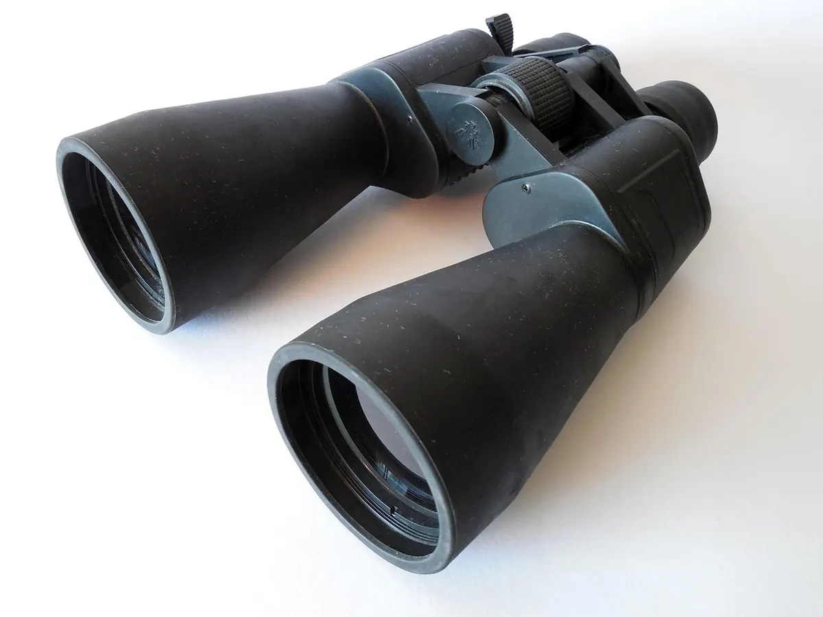 Seasonal Wetland Bird Survey Checklist for Spring and Autumn